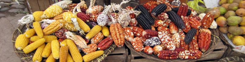 Maize at a Peru market